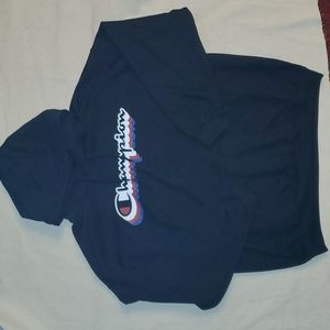 Champion mens graphic hoodie